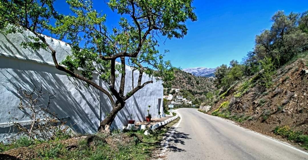 Finca El Almendro Árchez מראה חיצוני תמונה