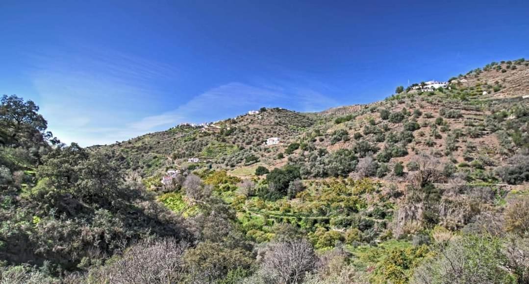 Finca El Almendro Árchez מראה חיצוני תמונה
