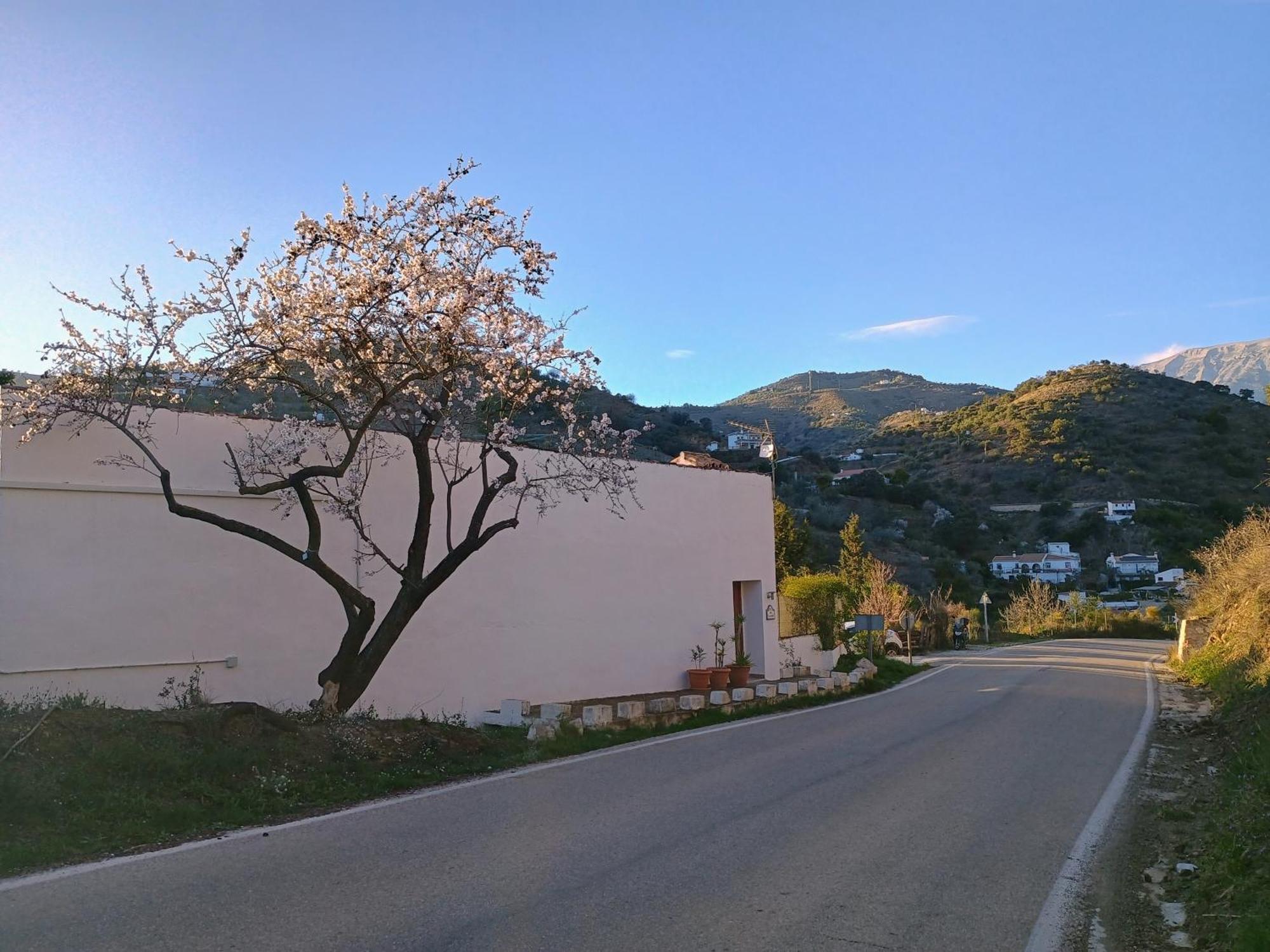 Finca El Almendro Árchez מראה חיצוני תמונה