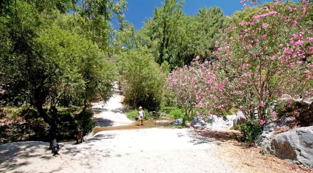 Finca El Almendro Árchez מראה חיצוני תמונה